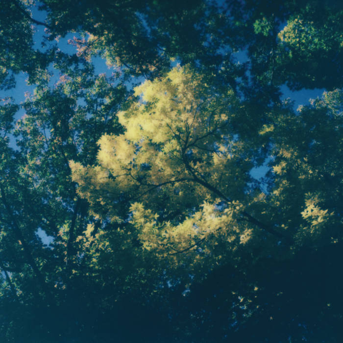 Still Beauty cover art by zakè & marine eyes
